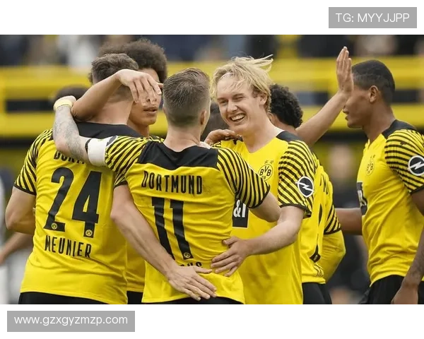 多特蒙德足球明星实力排名及影响力分析全面解读